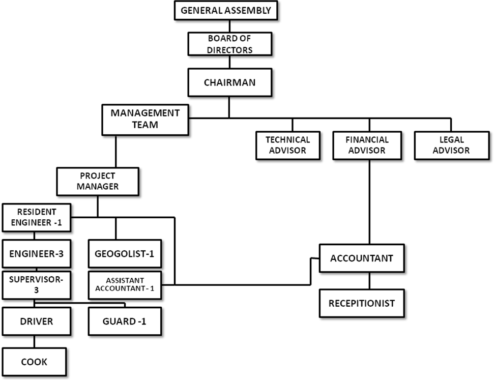 Organization Structure